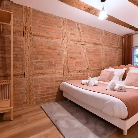 La Vie En Rose - 6p-3br קולמר
