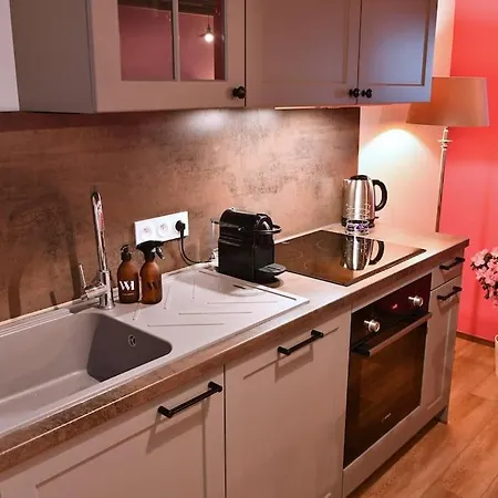 La Vie En Rose - 6p-3br קולמר
